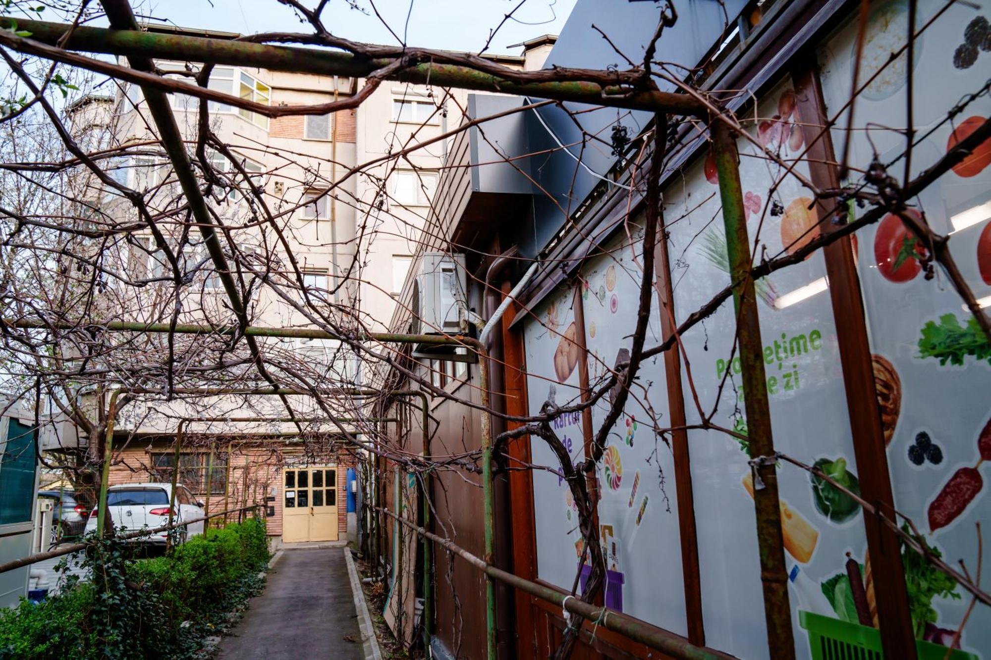 Apartamento Studio Lounge Craiova Exterior foto